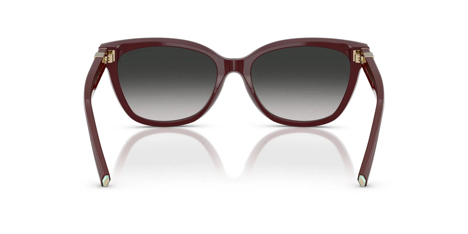 Tiffany 4237BF Sunglasses - view 22